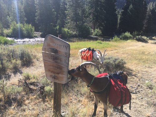 4AF7604F-07A0-4623-9364-CA7983995F01.jpeg