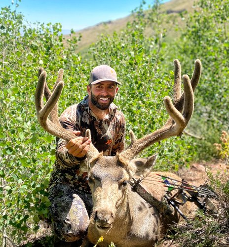 2020 deer.jpeg 2020 deer.jpeg
