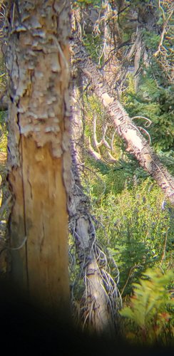 20200816_160504.jpg