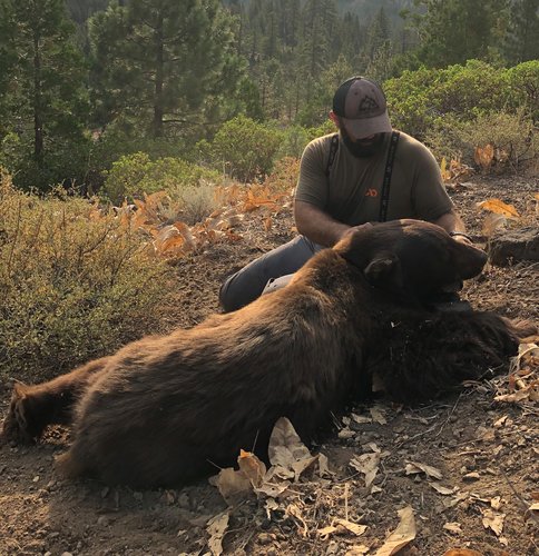 bear.jpg bear.jpg