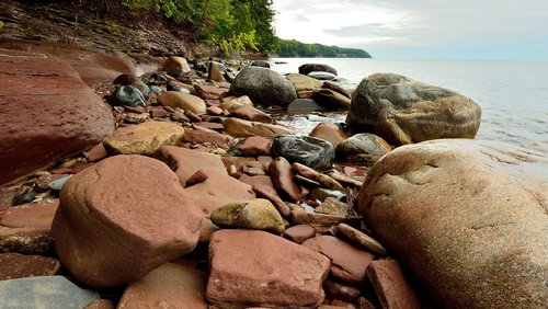 DSC_3110_440re.JPG