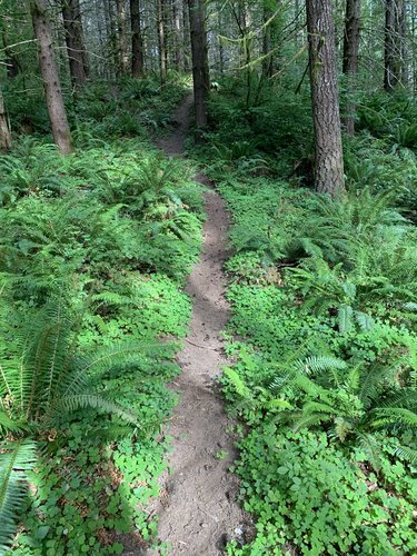 5D3BC841-184D-45F9-A70C-B69927A625A6.jpeg 5D3BC841-184D-45F9-A70C-B69927A625A6.jpeg