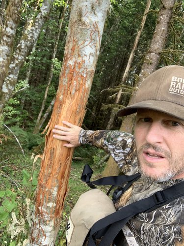 8007938D-0E19-434B-91A7-1C733A8F9B70.jpeg 8007938D-0E19-434B-91A7-1C733A8F9B70.jpeg