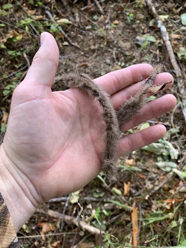 898165E6-2F07-4A1E-84C0-62DF562580CD.jpeg 898165E6-2F07-4A1E-84C0-62DF562580CD.jpeg