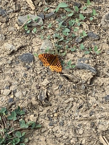 40C264BC-4B8D-4453-9014-3D552892DF32.jpeg 40C264BC-4B8D-4453-9014-3D552892DF32.jpeg