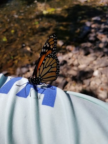 20200802_155604.jpg