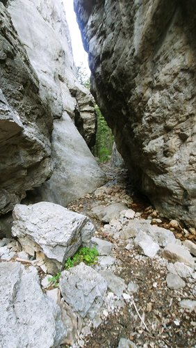 0822200829a.jpg 0822200829a.jpg