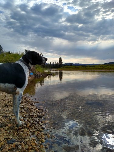 IMG_20200816_175013395_HDR.jpg