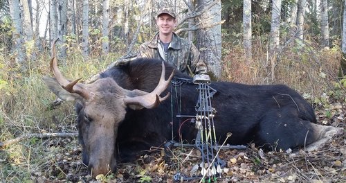 Moose.jpg