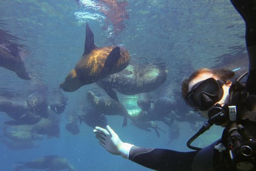 with sea lions.jpg with sea lions.jpg