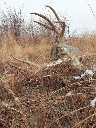 20191122_104938.jpg 20191122_104938.jpg