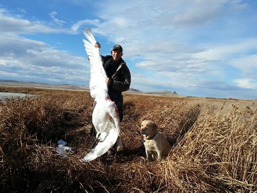 2013110295143704.jpg 2013110295143704.jpg