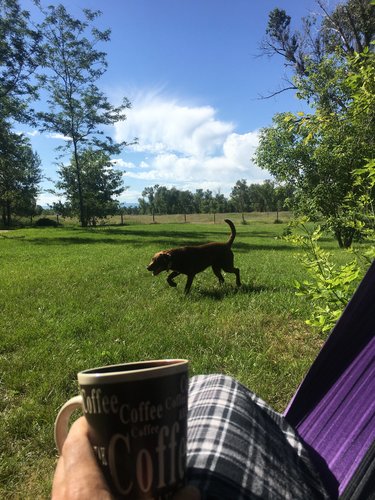 D972A31F-DF08-442B-86C3-D3DD657A63AE.jpeg D972A31F-DF08-442B-86C3-D3DD657A63AE.jpeg