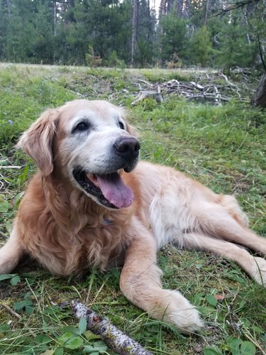 20200801_205702.jpg 20200801_205702.jpg