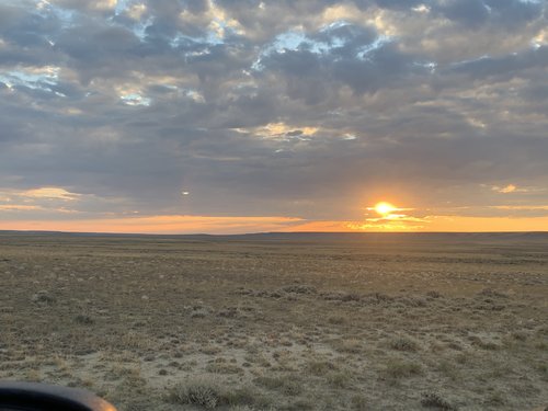 16523B83-FF0F-4F4B-8ABF-547ED0CBE010.jpeg 16523B83-FF0F-4F4B-8ABF-547ED0CBE010.jpeg