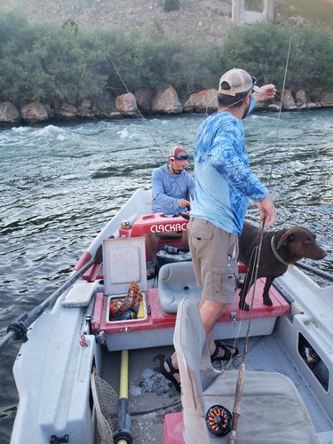 20200814_193441.jpg 20200814_193441.jpg