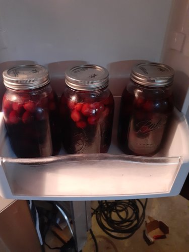 20200828_120239.jpg