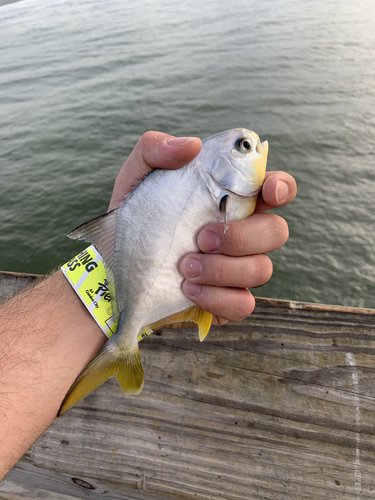 738CA054-0269-4844-82A6-96E8F95A4017.jpeg 738CA054-0269-4844-82A6-96E8F95A4017.jpeg