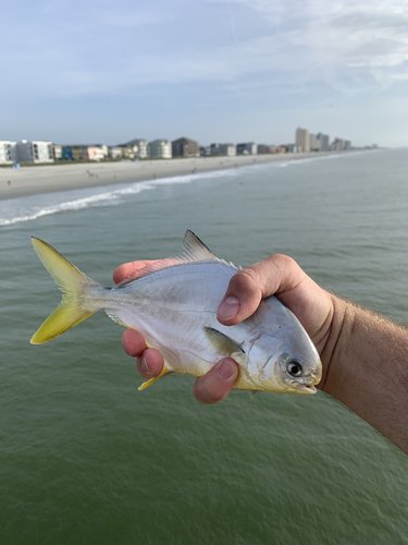 A99FD502-ECB8-4EAE-B0DC-6B8EE19F65C2.jpeg A99FD502-ECB8-4EAE-B0DC-6B8EE19F65C2.jpeg