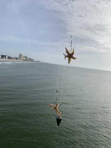 EA69CD6C-C41D-4E09-9A5D-F1CCCAD010E7.jpeg EA69CD6C-C41D-4E09-9A5D-F1CCCAD010E7.jpeg