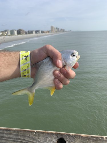 36EB556F-6F28-4C41-A7D4-0E7B17605F08.jpeg 36EB556F-6F28-4C41-A7D4-0E7B17605F08.jpeg