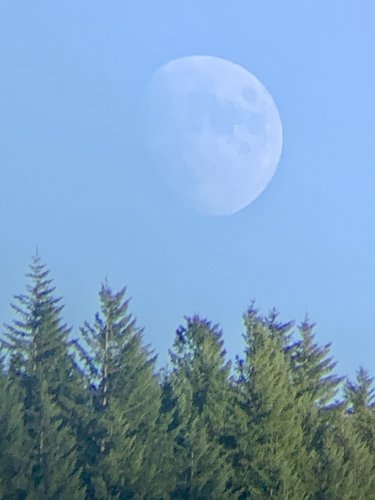 98142C9C-0558-4F7A-8915-950CDDAA3300.jpeg 98142C9C-0558-4F7A-8915-950CDDAA3300.jpeg