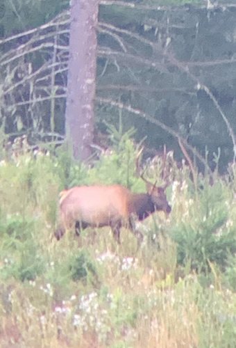 8F5AD965-B1A4-4657-A3E1-242AD403C5BF.jpeg 8F5AD965-B1A4-4657-A3E1-242AD403C5BF.jpeg