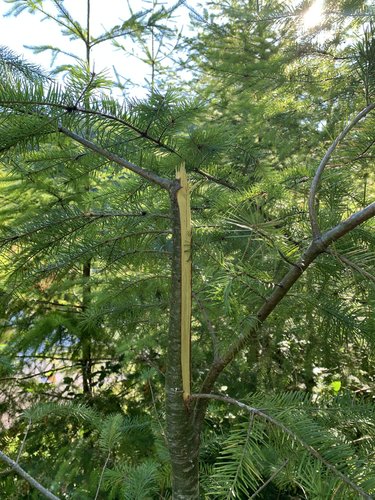 684E070B-F48F-4DF1-AAC8-4E1B52C6A8A5.jpeg 684E070B-F48F-4DF1-AAC8-4E1B52C6A8A5.jpeg