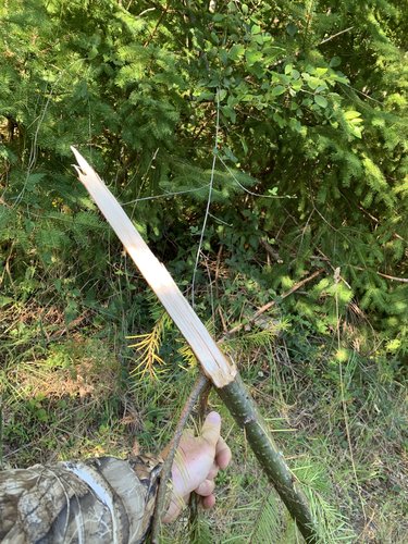 E7388C19-EB2D-43EC-A689-98F6EE338907.jpeg E7388C19-EB2D-43EC-A689-98F6EE338907.jpeg