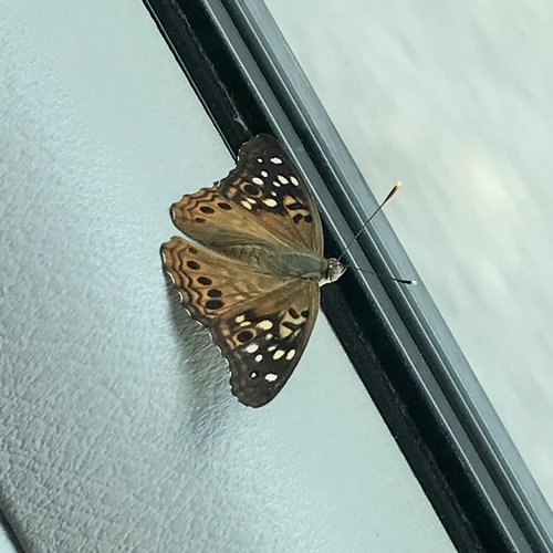 5F1AF612-BA22-4047-A405-715AE93C09D0.jpeg 5F1AF612-BA22-4047-A405-715AE93C09D0.jpeg