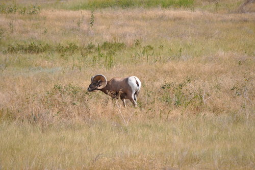 DSC_6601.JPG