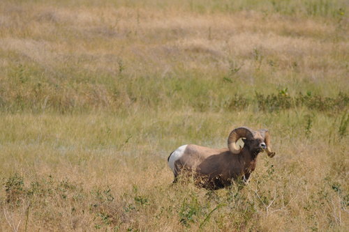 DSC_6672.JPG