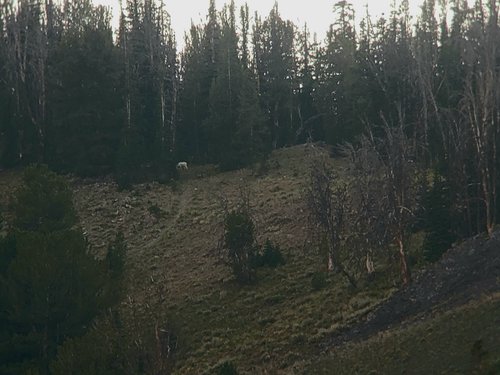 20200830_184552.jpg 20200830_184552.jpg