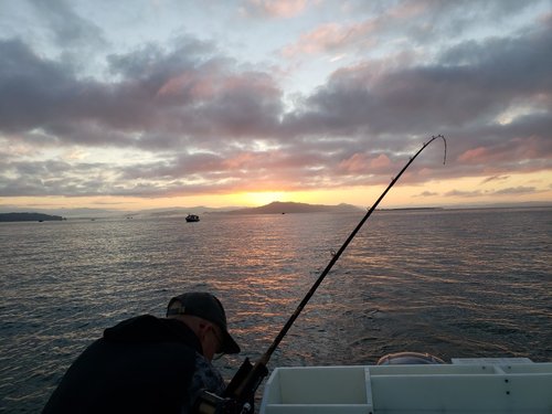 Columbia Sunrise 2020.jpg