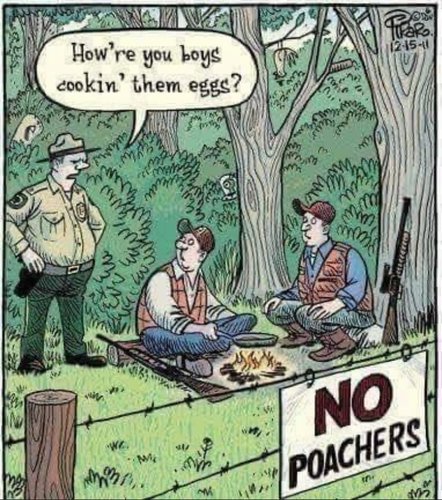 comic no poachers game warden eggs.jpg