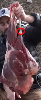 1599144630825.png 1599144630825.png