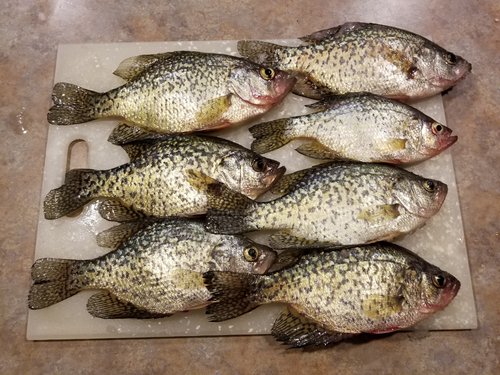 20180103_224807.jpg 20180103_224807.jpg