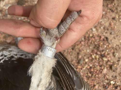 E15FAC10-F583-4315-BE74-E07440BAEB90.jpeg E15FAC10-F583-4315-BE74-E07440BAEB90.jpeg