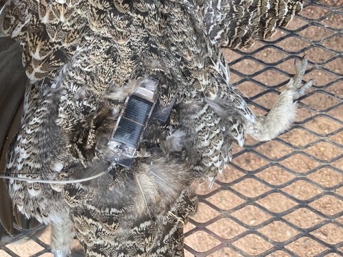 F97F98E5-EDB6-427D-BFB4-C8CBDE66CE15.jpeg F97F98E5-EDB6-427D-BFB4-C8CBDE66CE15.jpeg