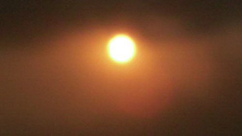 20200908_172828.jpg 20200908_172828.jpg