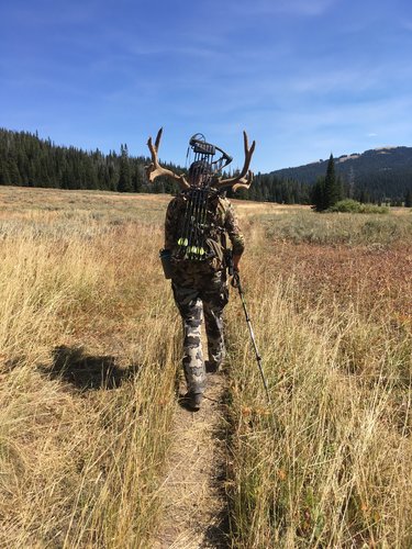 10D23FBE-5399-4BEB-9EE7-CE54AC400F3F.jpeg 10D23FBE-5399-4BEB-9EE7-CE54AC400F3F.jpeg