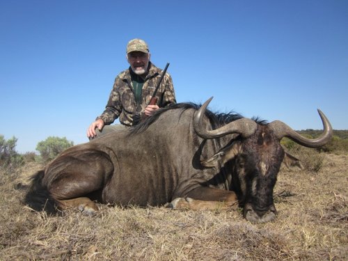 2019-08-23 wildebeest.JPG 2019-08-23 wildebeest.JPG