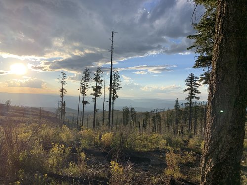 IMG_0762.jpg IMG_0762.jpg