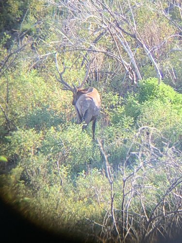 IMG_0789.jpg IMG_0789.jpg