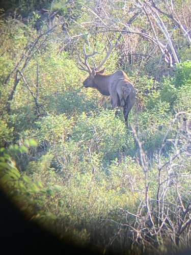 IMG_0794.jpg IMG_0794.jpg