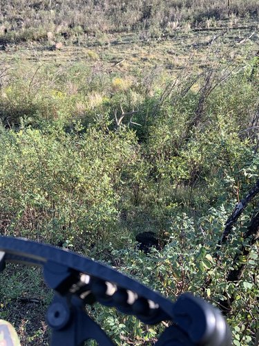 IMG_0809.jpg IMG_0809.jpg