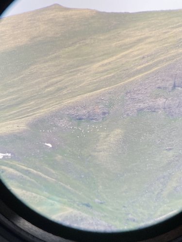 D56374C8-6EF2-4892-A2DC-E137DB5E8076.jpeg D56374C8-6EF2-4892-A2DC-E137DB5E8076.jpeg