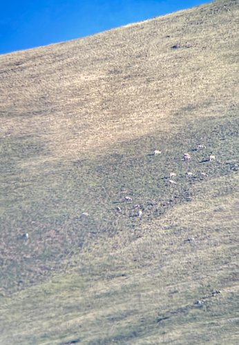 78AC4446-C233-43E5-BDF3-CE0B155700B5.jpeg 78AC4446-C233-43E5-BDF3-CE0B155700B5.jpeg