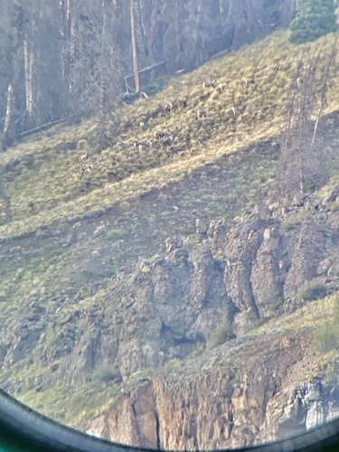 7C6C0BF9-5C72-456C-9841-2A068960CC7C.jpeg 7C6C0BF9-5C72-456C-9841-2A068960CC7C.jpeg