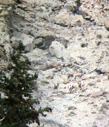 931E7FC6-161B-43AC-910E-322AE80080B2.jpeg 931E7FC6-161B-43AC-910E-322AE80080B2.jpeg